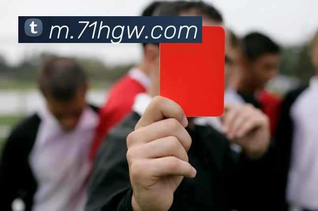 体育数据展示